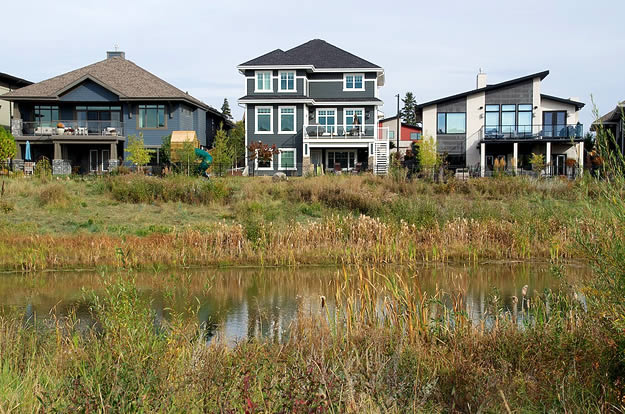 Larch Park Vision